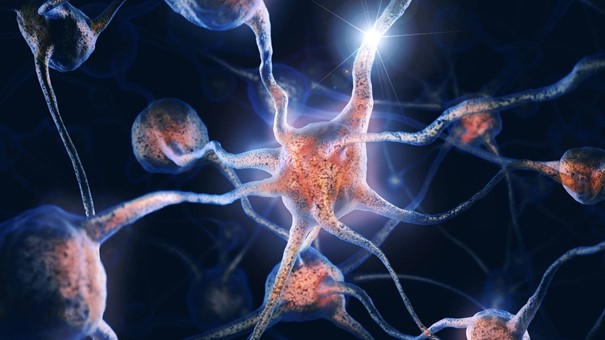 Darstellung von Gerhirnzellen mit Synapsen